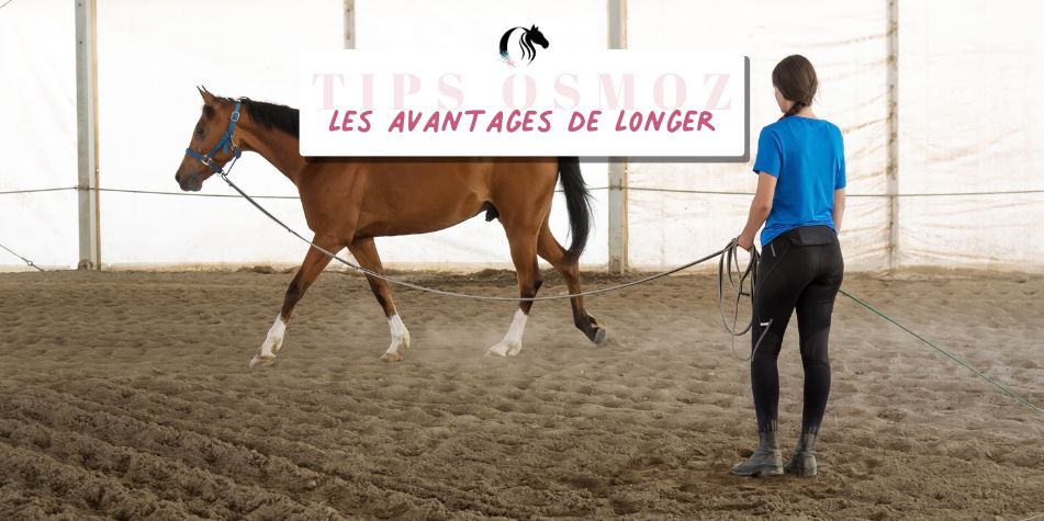 L'intérêt de longer un cheval : tout ce que tu dois savoir